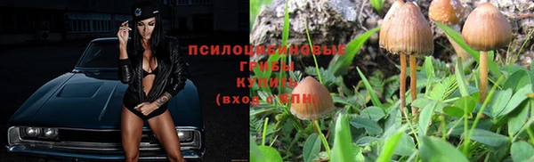 прущая мука Белоозёрский