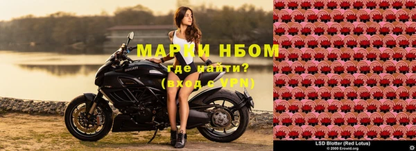 прущая мука Белоозёрский